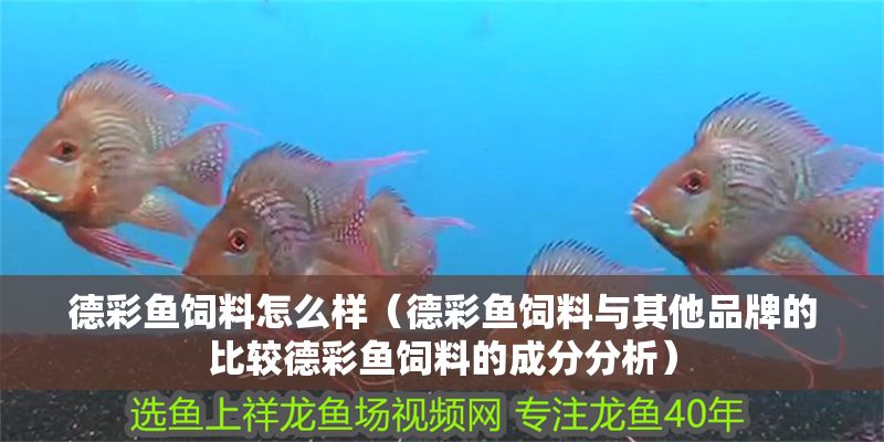 德彩魚飼料怎么樣（德彩魚飼料與其他品牌的比較德彩魚飼料的成分分析）