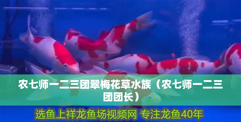 農(nóng)七師一二三團翠梅花草水族(農(nóng)七師一二三團團長) 全國水族館企業(yè)名錄 第2張 農(nóng)七師一二三團翠梅花草水族(農(nóng)七師一二三團團長) 農(nóng)七師一二三團翠梅花草水族(農(nóng)七師一二三團團長) 全國水族館企業(yè)名錄 第2張