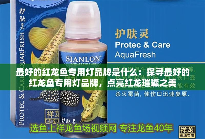 最好的紅龍魚專用燈品牌是什么：探尋最好的紅龍魚專用燈品牌，點亮紅龍璀璨之美