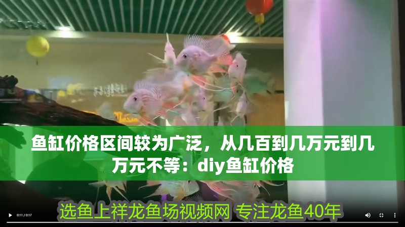 魚缸價(jià)格區(qū)間較為廣泛，從幾百到幾萬元到幾萬元不等：diy魚缸價(jià)格