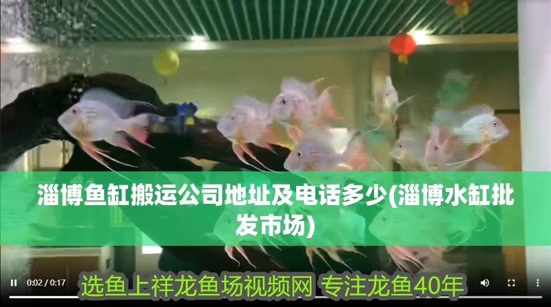 淄博魚缸搬運公司地址及電話多少(淄博水缸批發市場)