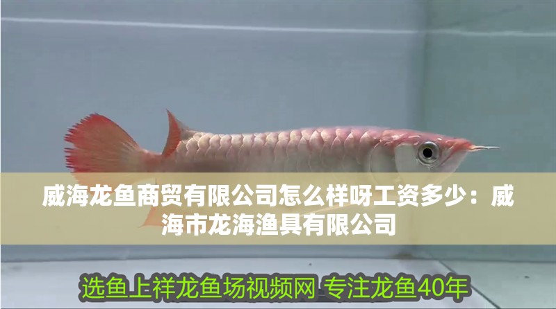 威海龍魚商貿有限公司怎么樣呀工資多少：威海市龍海漁具有限公司