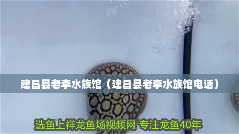 建昌縣老李水族館（建昌縣老李水族館電話）