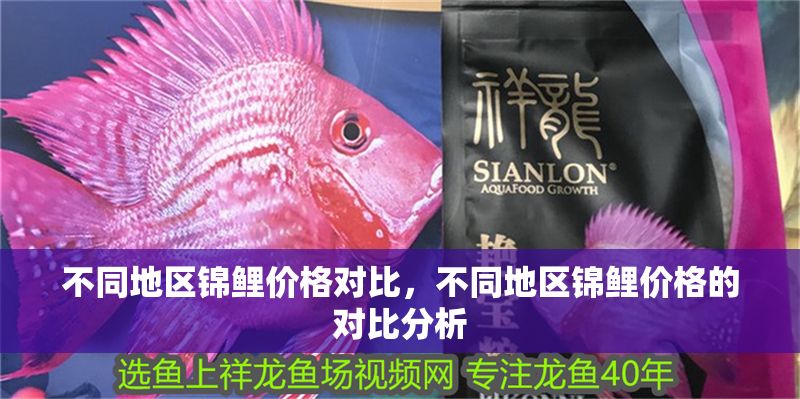 不同地區錦鯉價格對比，不同地區錦鯉價格的對比分析