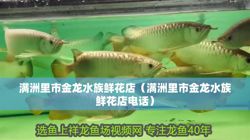 滿洲里市金龍水族鮮花店（滿洲里市金龍水族鮮花店電話）