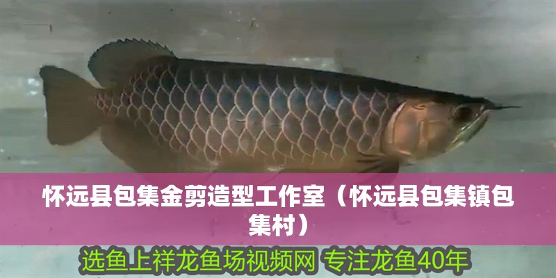 虎魚的功效與作用視頻教程(鰕虎魚營養價值怎么樣)