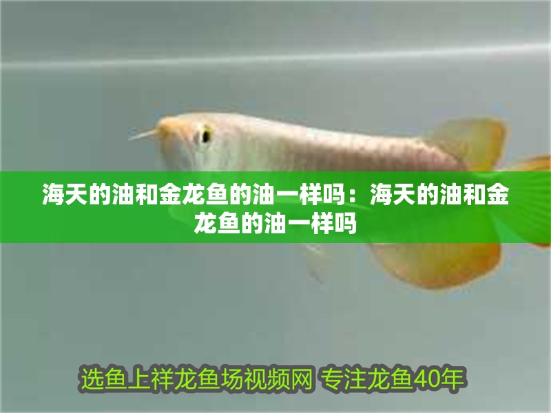海天的油和金龍魚的油一樣嗎：海天的油和金龍魚的油一樣嗎
