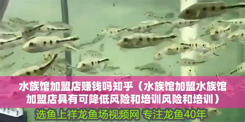 水族館加盟店賺錢嗎知乎（水族館加盟水族館加盟店具有可降低風險和培訓風險和培訓）