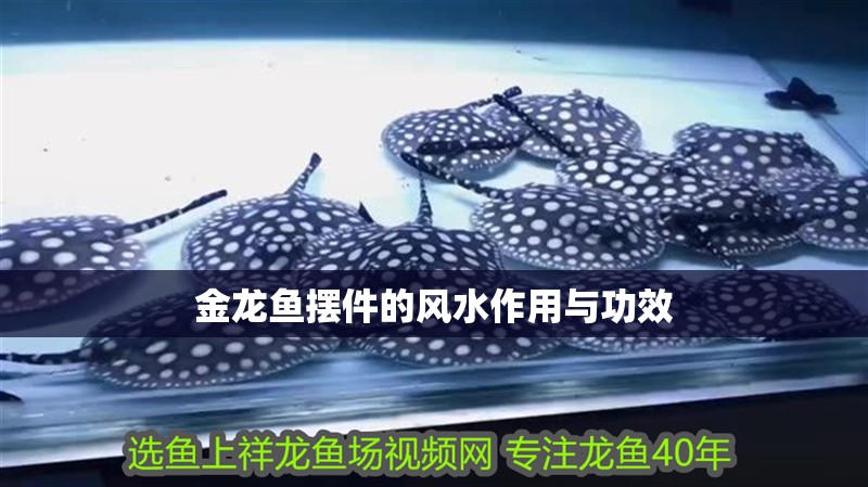 金龍魚擺件的風水作用與功效