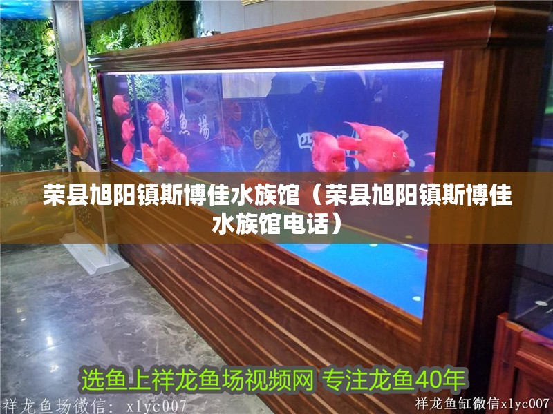 榮縣旭陽鎮斯博佳水族館（榮縣旭陽鎮斯博佳水族館電話）