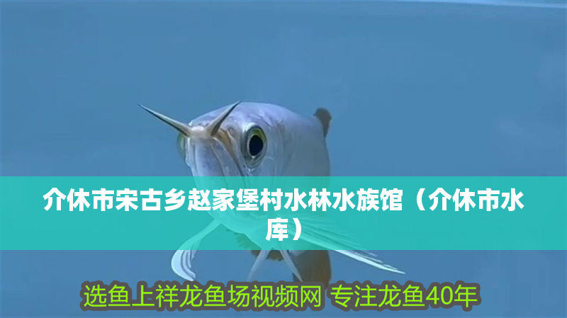 介休市宋古鄉趙家堡村水林水族館（介休市水庫）
