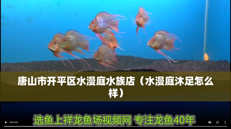 唐山市開平區水漫庭水族店（水漫庭沐足怎么樣）