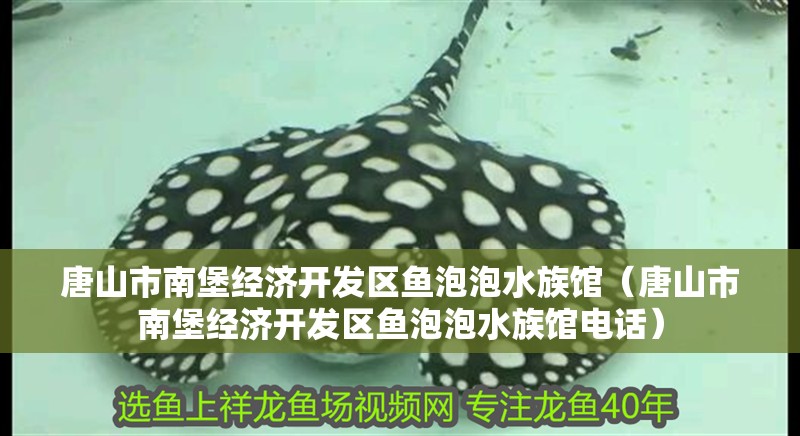 唐山市南堡經濟開發區魚泡泡水族館（唐山市南堡經濟開發區魚泡泡水族館電話）