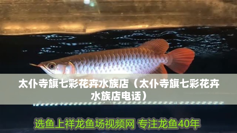 太仆寺旗七彩花卉水族店（太仆寺旗七彩花卉水族店電話）