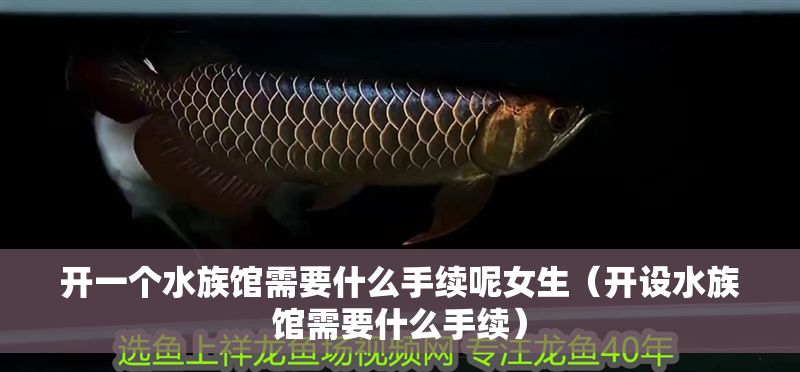 開一個水族館需要什么手續呢女生（開設水族館需要什么手續）