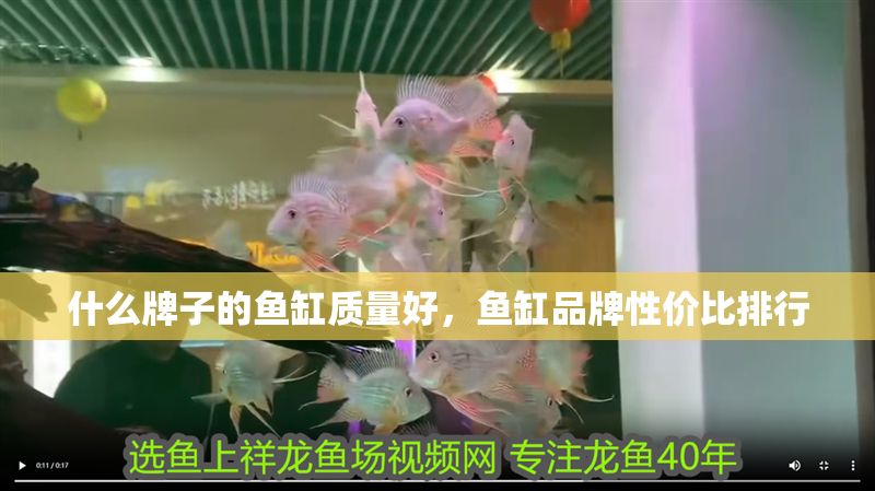 什么牌子的魚缸質量好，魚缸品牌性價比排行