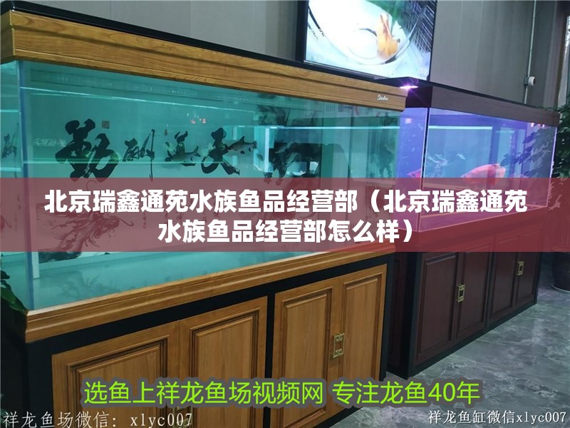 北京瑞鑫通苑水族魚品經(jīng)營部（北京瑞鑫通苑水族魚品經(jīng)營部怎么樣）