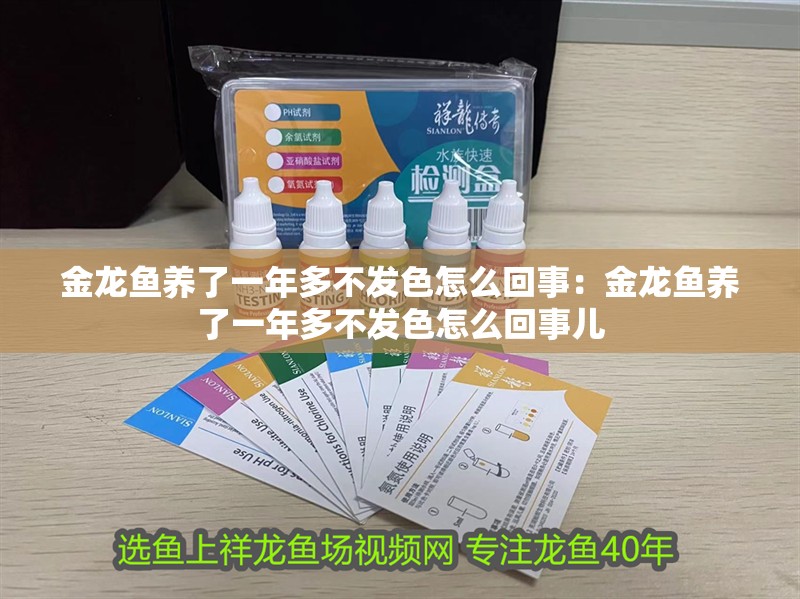 金龍魚養了一年多不發色怎么回事：金龍魚養了一年多不發色怎么回事兒