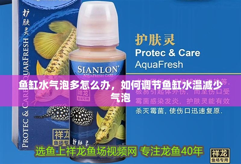 魚缸水氣泡多怎么辦，如何調(diào)節(jié)魚缸水溫減少氣泡 魚缸水氣泡多怎么辦，如何調(diào)節(jié)魚缸水溫減少氣泡 魚缸百科 第2張