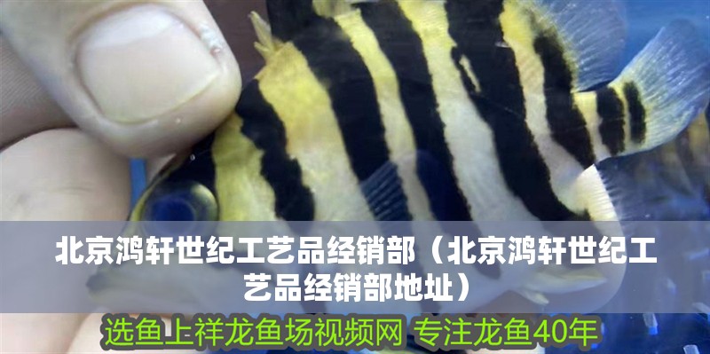 北京鴻軒世紀工藝品經銷部（北京鴻軒世紀工藝品經銷部地址）