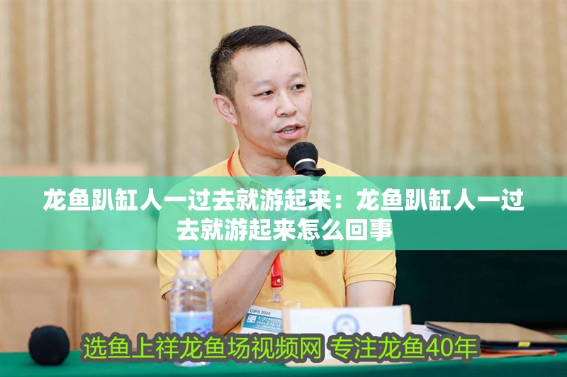 龍魚趴缸人一過去就游起來：龍魚趴缸人一過去就游起來怎么回事