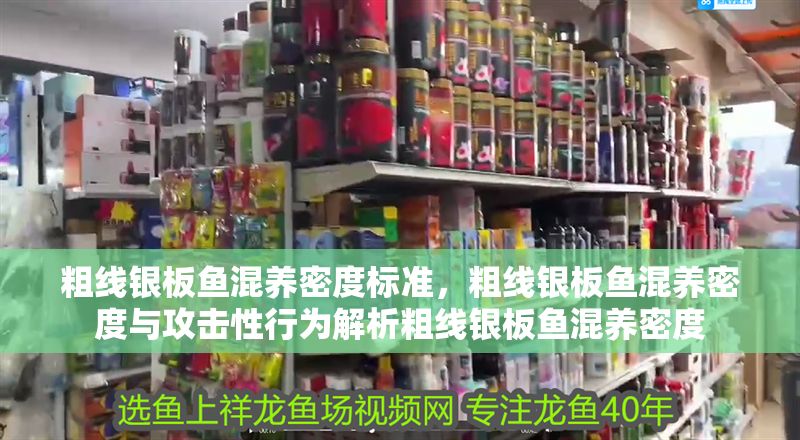 粗線銀板魚混養密度標準，粗線銀板魚混養密度與攻擊性行為解析粗線銀板魚混養密度