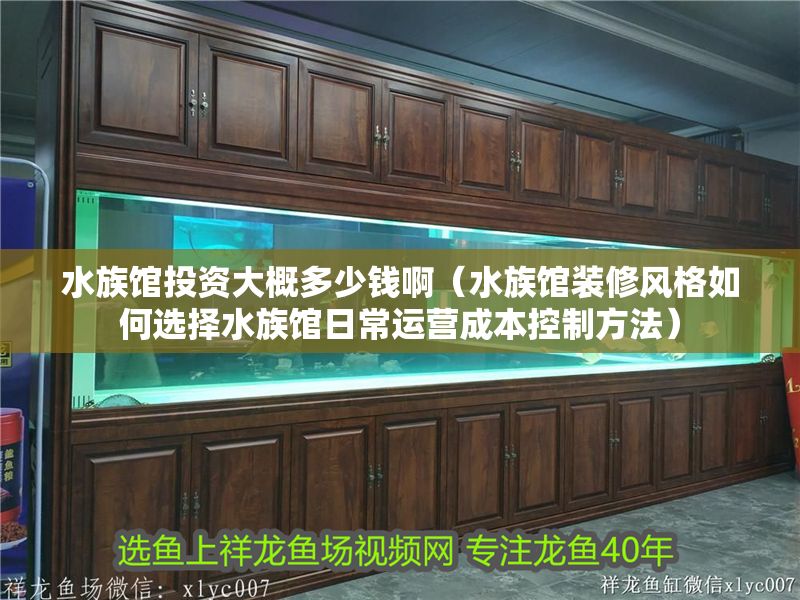 水族館投資大概多少錢啊（水族館裝修風格如何選擇水族館日常運營成本控制方法）