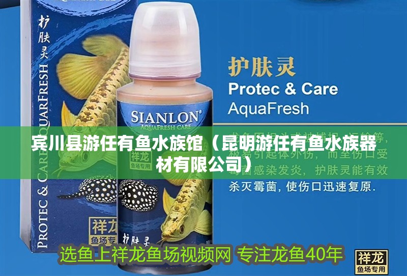 賓川縣游任有魚(yú)水族館（昆明游任有魚(yú)水族器材有限公司）