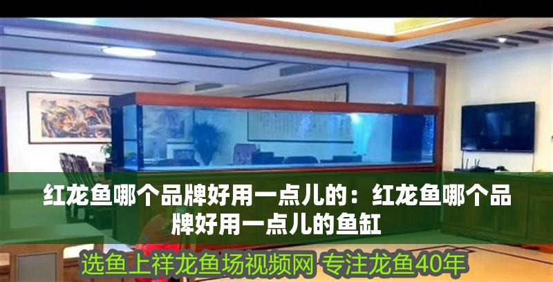 紅龍魚哪個品牌好用一點兒的：紅龍魚哪個品牌好用一點兒的魚缸