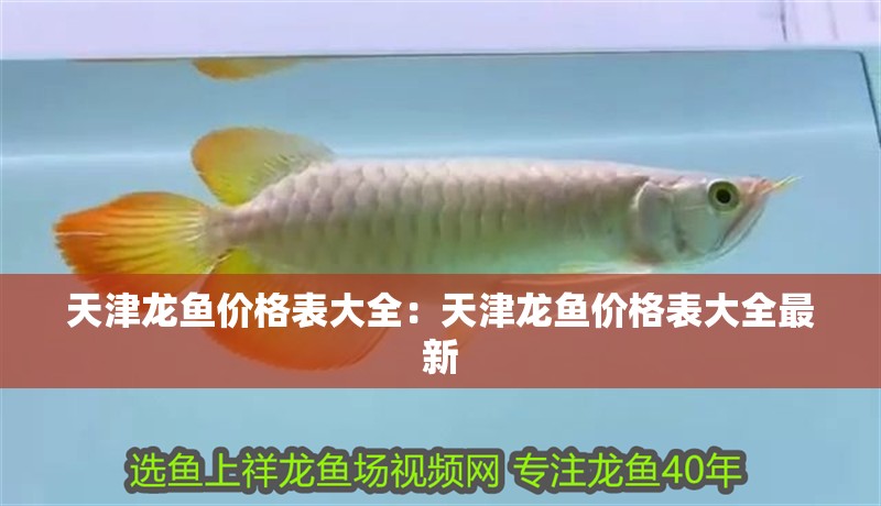 天津龍魚價格表大全：天津龍魚價格表大全最新