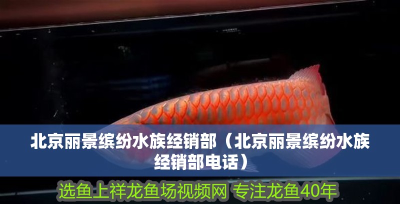 北京麗景繽紛水族經銷部（北京麗景繽紛水族經銷部電話）
