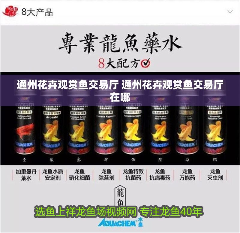 通州花卉觀賞魚交易廳 通州花卉觀賞魚交易廳在哪