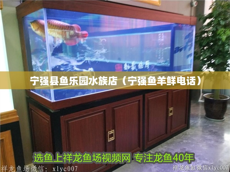 寧強縣魚樂園水族店（寧強魚羊鮮電話）