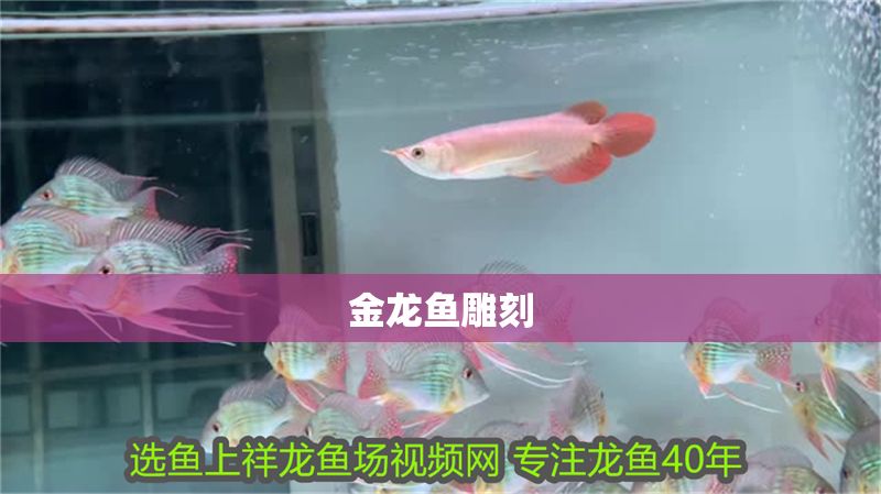 金龍魚雕刻