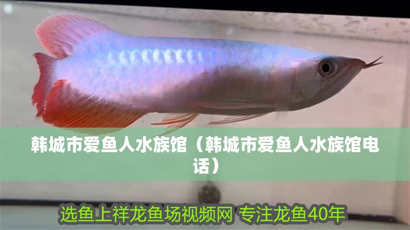 韓城市愛魚人水族館（韓城市愛魚人水族館電話）