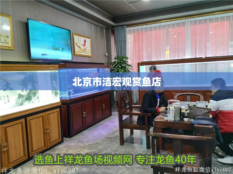 北京市潔宏觀賞魚店