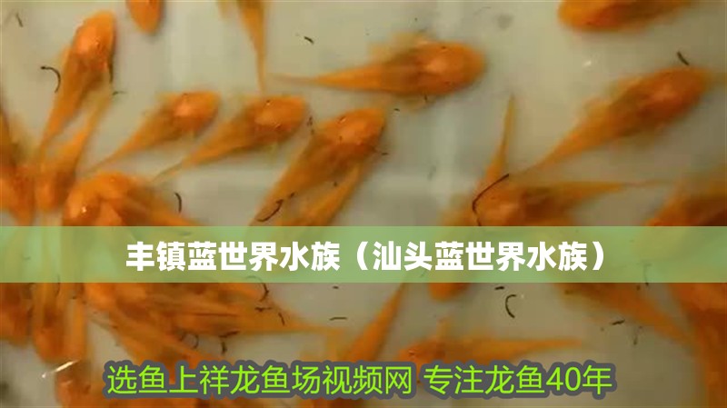森淏林業科技有限公司(湖北森淏林業科技有限公司) 森森魚缸 第2張 森淏林業科技有限公司(湖北森淏林業科技有限公司) 森淏林業科技有限公司(湖北森淏林業科技有限公司) 森森魚缸 第2張
