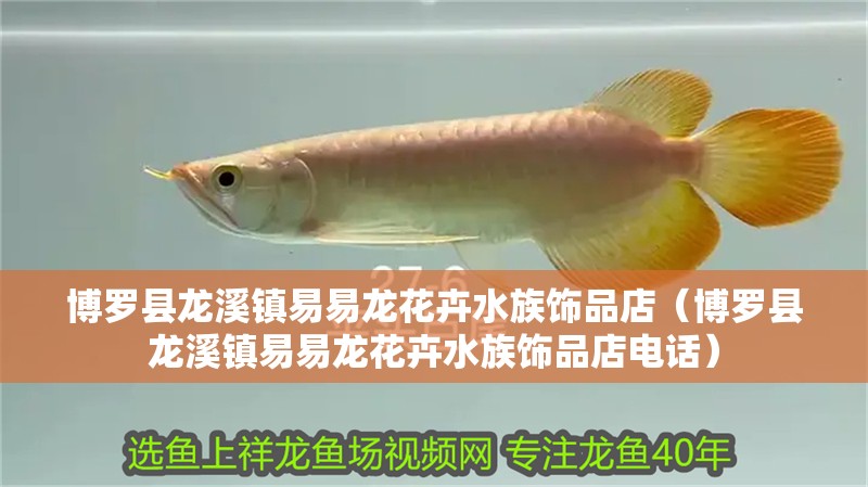 博羅縣龍溪鎮易易龍花卉水族飾品店（博羅縣龍溪鎮易易龍花卉水族飾品店電話）