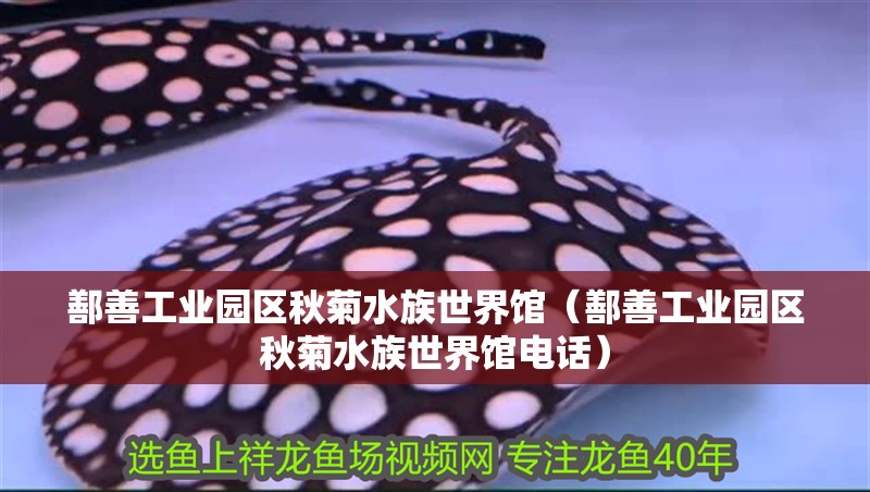 鄯善工業(yè)園區(qū)秋菊水族世界館（鄯善工業(yè)園區(qū)秋菊水族世界館電話）