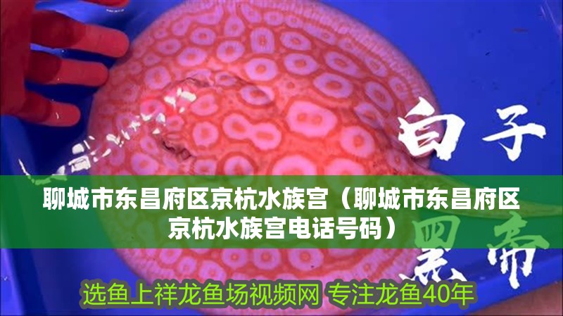 聊城市東昌府區京杭水族宮（聊城市東昌府區京杭水族宮電話號碼）
