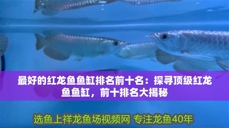 最好的紅龍魚魚缸排名前十名：探尋頂級紅龍魚魚缸，前十排名大揭秘