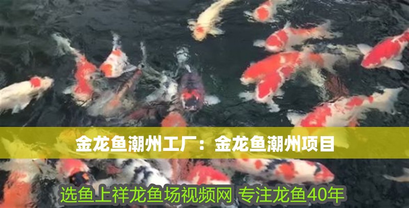 金龍魚潮州工廠：金龍魚潮州項目
