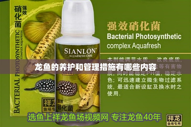 龍魚的養(yǎng)護(hù)和管理措施有哪些內(nèi)容