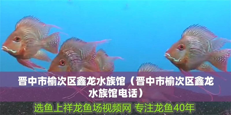 晉中市榆次區鑫龍水族館（晉中市榆次區鑫龍水族館電話）