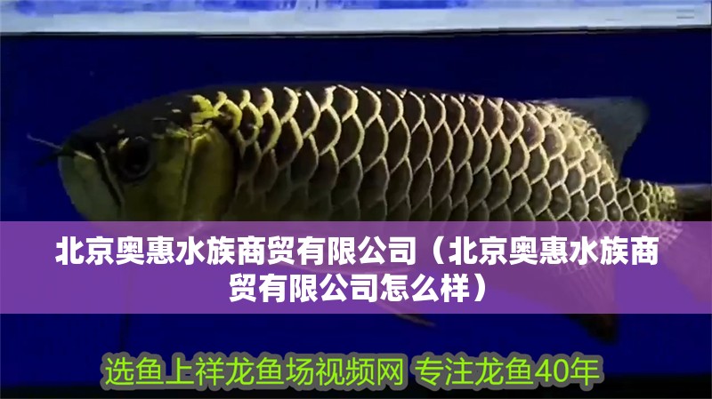 北京奧惠水族商貿有限公司（北京奧惠水族商貿有限公司怎么樣）