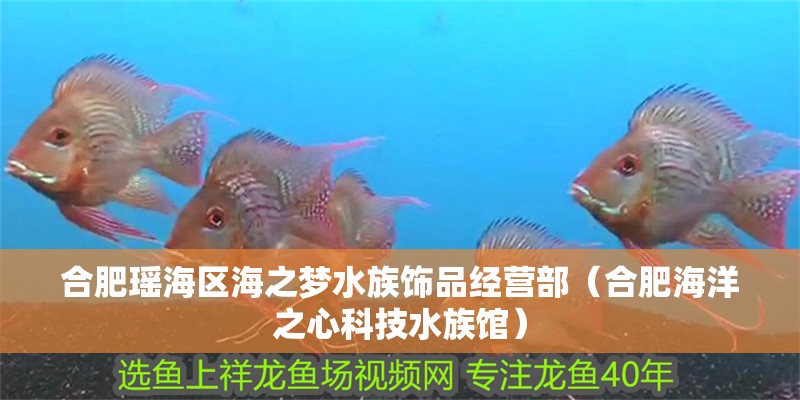 合肥瑤海區海之夢水族飾品經營部（合肥海洋之心科技水族館）