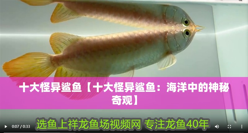 十大怪異鯊魚(yú)【十大怪異鯊魚(yú)：海洋中的神秘奇觀】