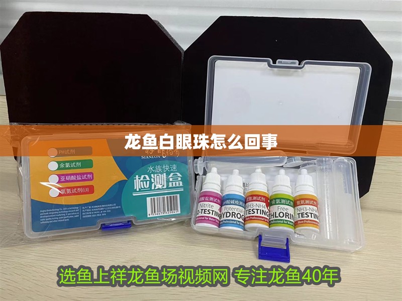 龍魚(yú)白眼珠怎么回事