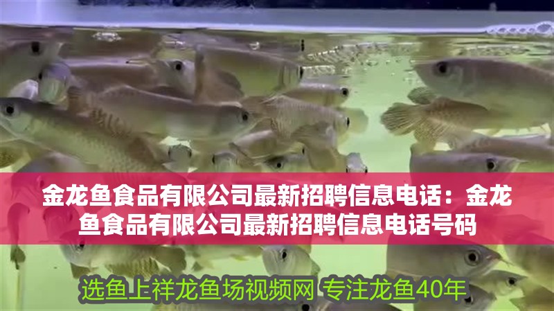 小龍魚沉底是怎么回事：小龍魚沉底是怎么回事啊