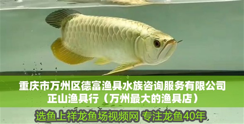 重慶市萬州區德富漁具水族咨詢服務有限公司正山漁具行（萬州最大的漁具店）